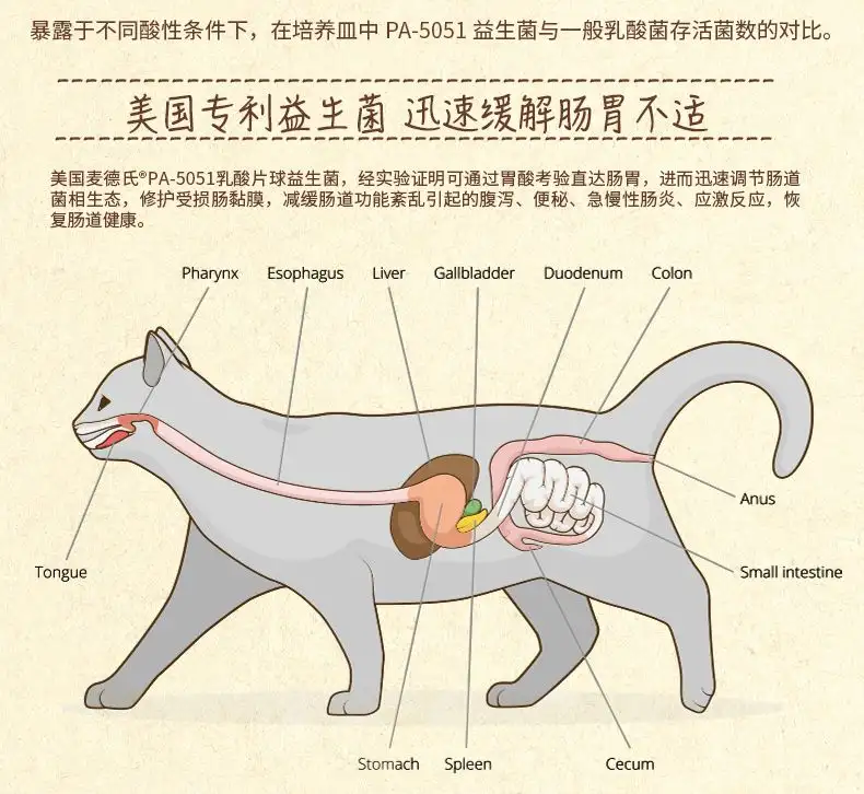 猫咪生产后便秘怎么办(猫咪生产后乱拉屎是为什么)