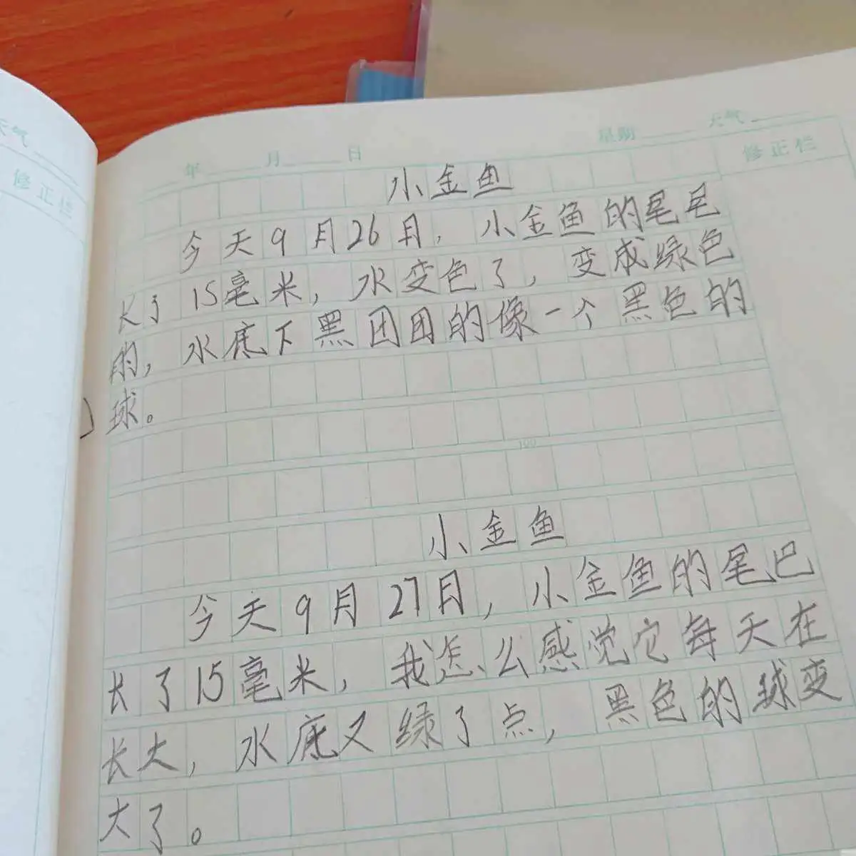 养小金鱼日记(养小金鱼日记150字)