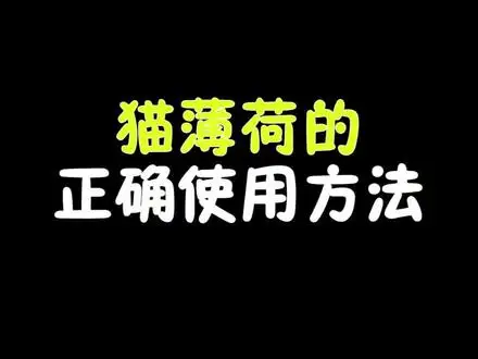 猫薄荷猫咪可以直接吃吗(猫薄荷可以给猫吃吗?有什么危害吗?)