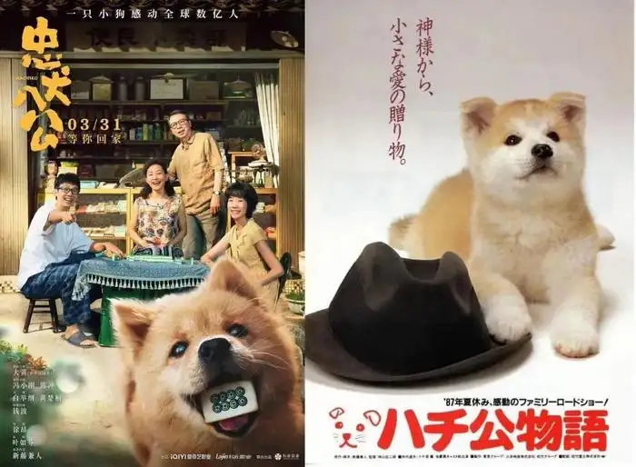 忠犬八公全集免费观看(忠犬八公全集免费观看高清)