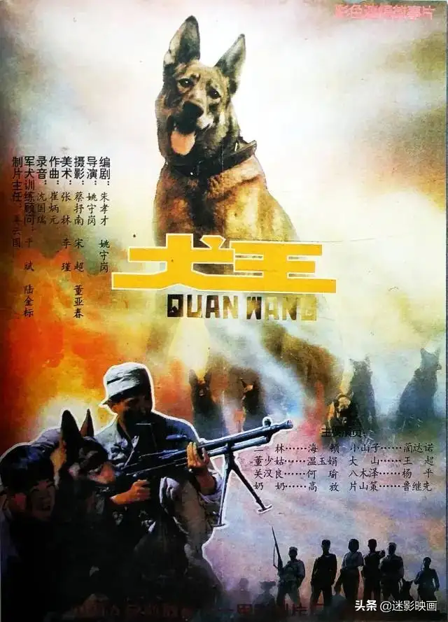 忠犬八公全集免费观看(忠犬八公全集免费观看高清)