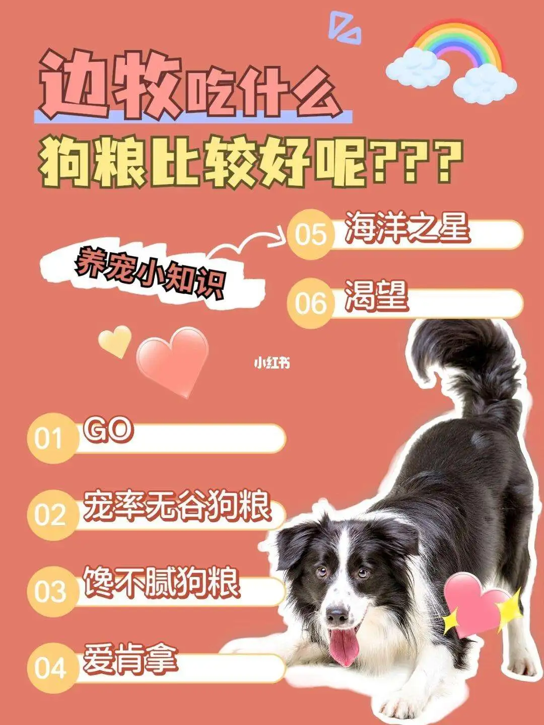 什么宠物养大了可以吃(什么宠物养大了可以吃东西)