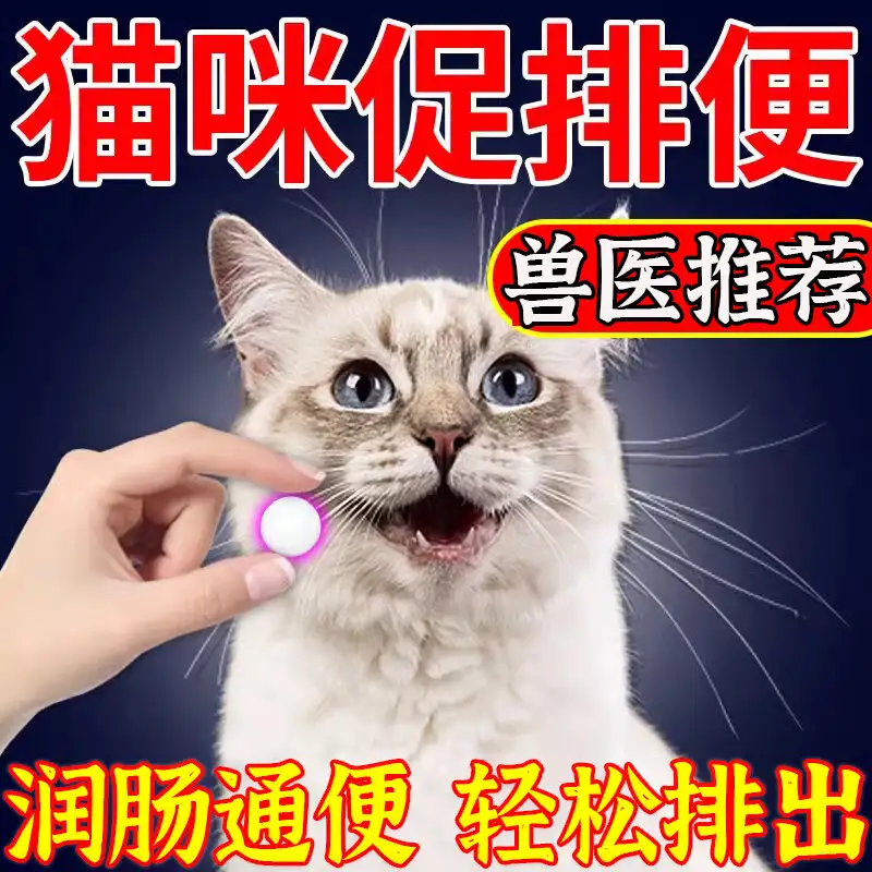 猫腹胀不排便怎么办(猫咪涨肚子不大便怎么回事)