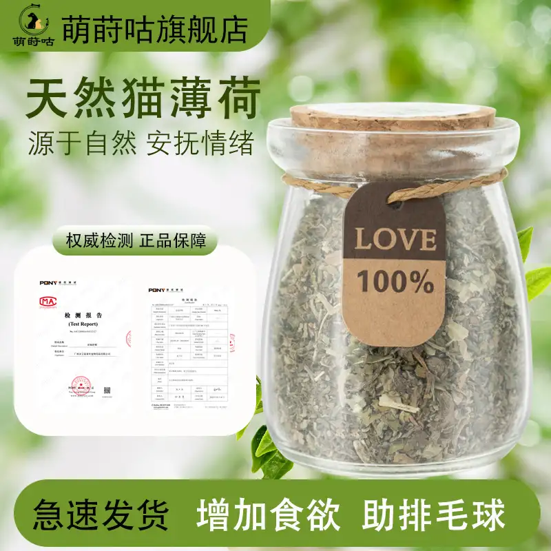 幼猫可以吃猫薄荷吗?(幼猫可以吃猫薄荷吗怎么喂)