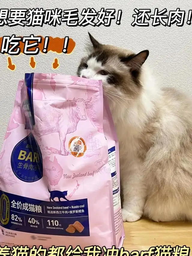 猫咪吐黄水便秘怎么办(猫咪吐黄水没食欲拉软便)