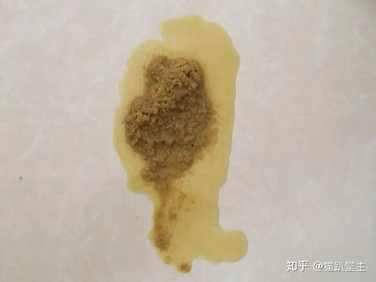 猫咪吐黄水便秘怎么办(猫咪吐黄水没食欲拉软便)