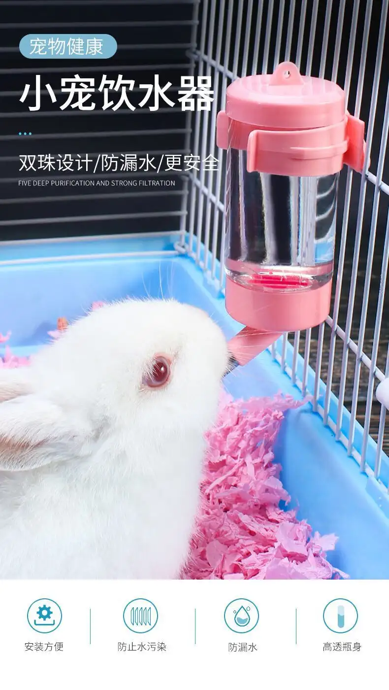 兔子用不用喂水喝(兔子用不用喂水喝奶)