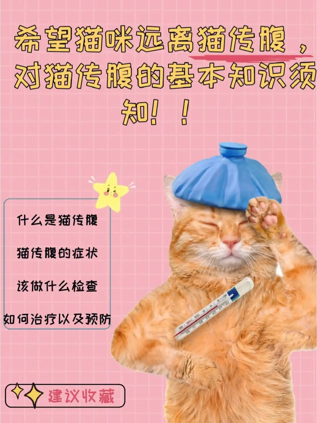 如何判断猫咪得了猫传腹(怎么看猫是否得了传腹亲身经历告诉你)