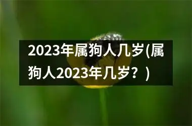 狗的十五岁等于人的几岁(狗15岁相当于人多大年龄)