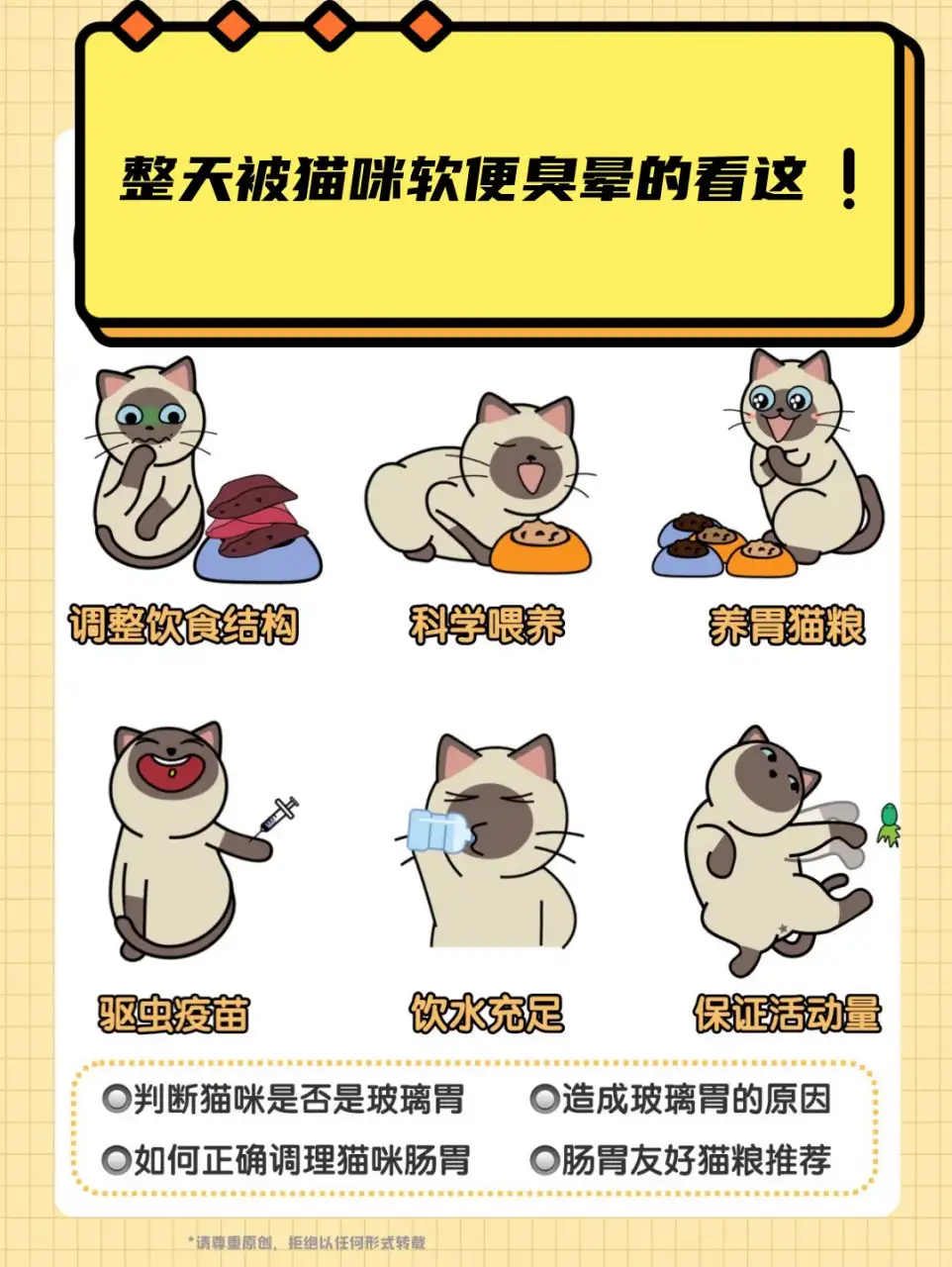 猫最怕啥气味(猫最怕什么气味一闻就跑)