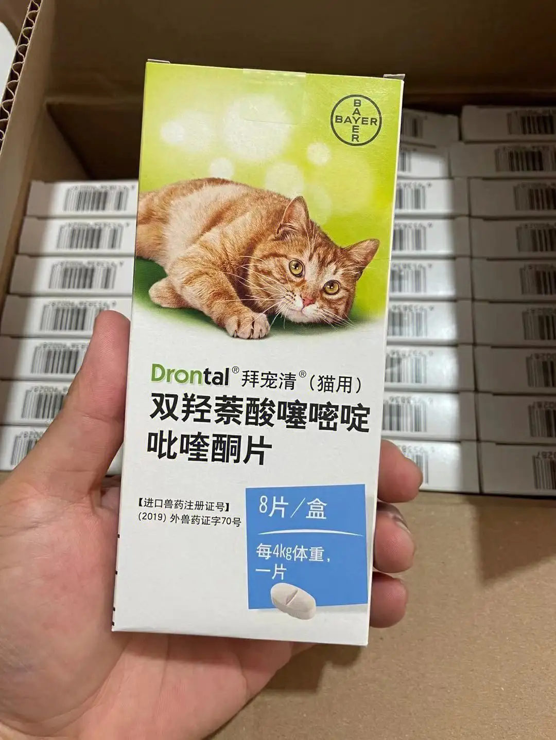 猫内外驱虫用什么药(猫咪内外驱虫注意事项)