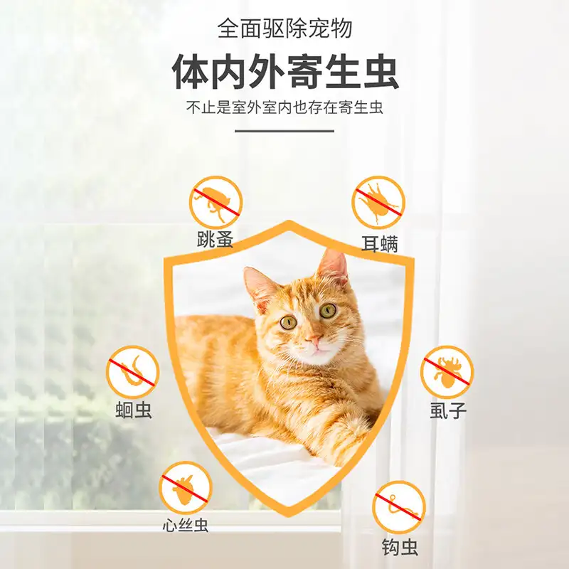 猫内外驱虫用什么药(猫咪内外驱虫注意事项)