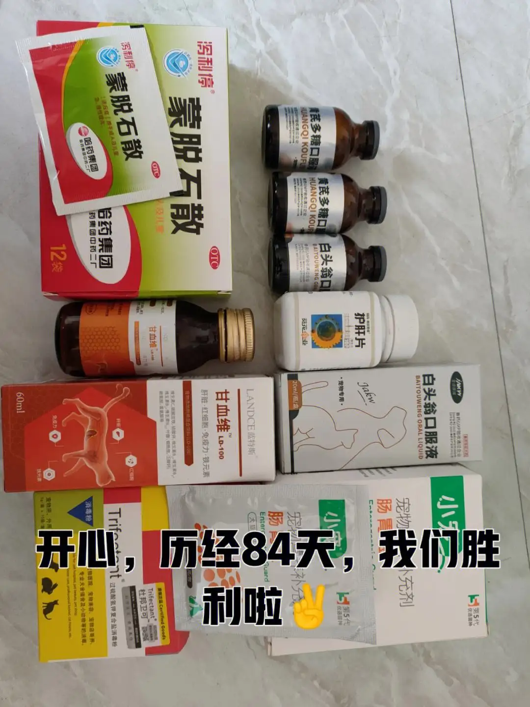猫传腹441是什么药(猫传腹441有哪些牌子)