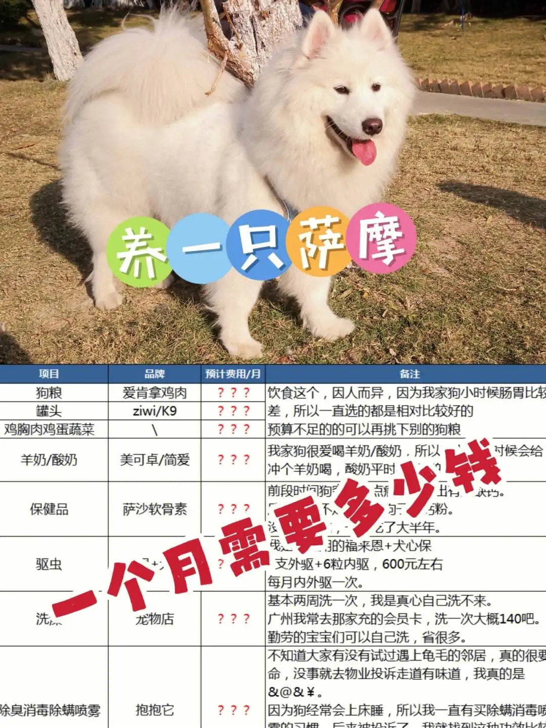 萨摩耶,多少钱(萨摩耶多少钱一条)