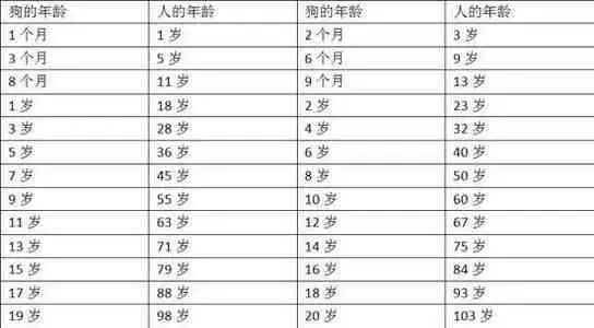 狗的生命周期有多长(狗的生命周期有多长时间)