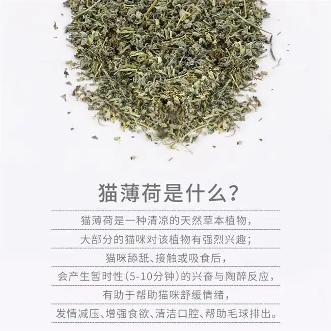 猫薄荷是干嘛用的(猫薄荷是起什么作用的)