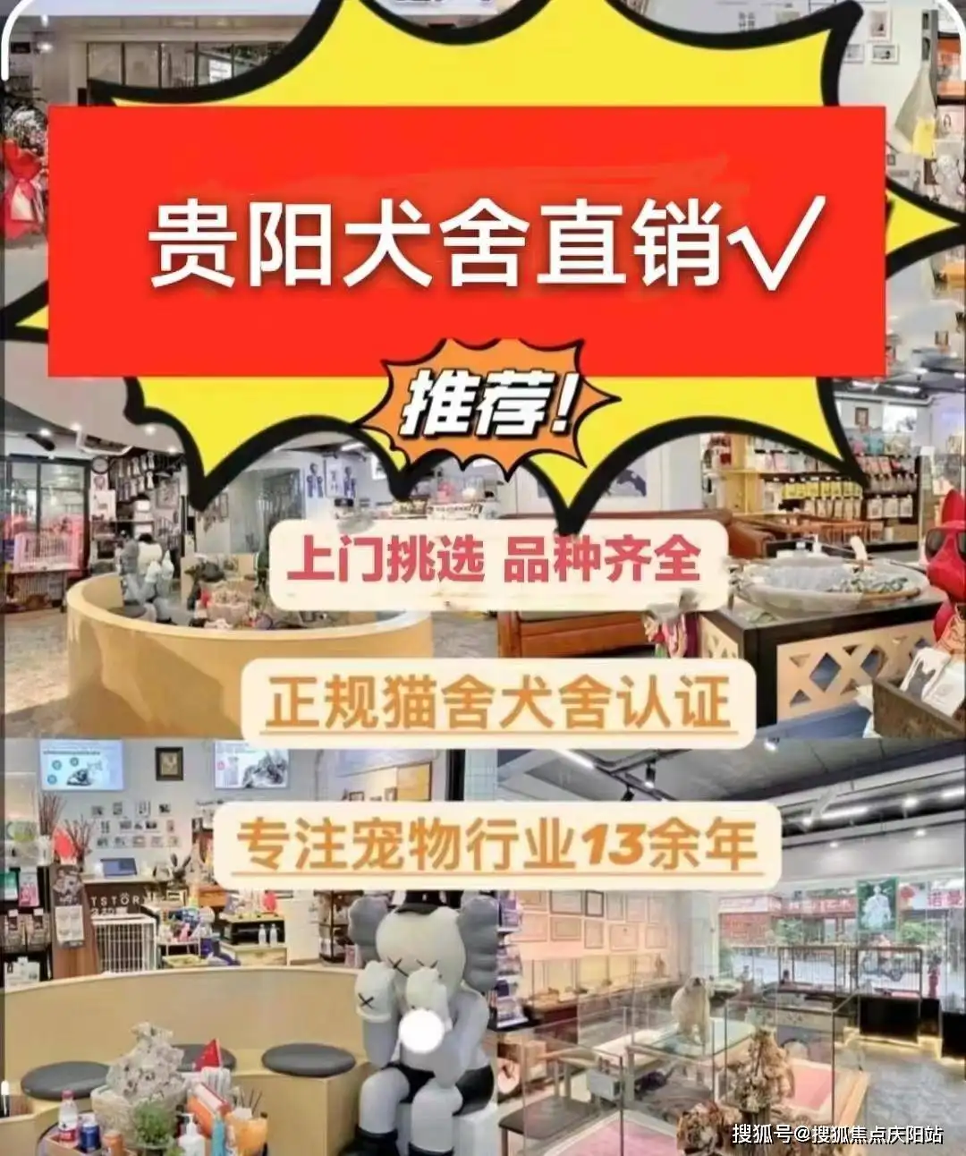 阿拉斯加犬六个月多少钱一只(阿拉斯加犬六个月多少钱一只幼犬)