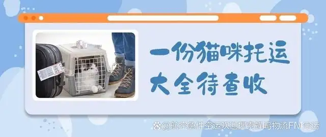 托运宠物猫大概多少钱(托运宠物猫大概多少钱一只)