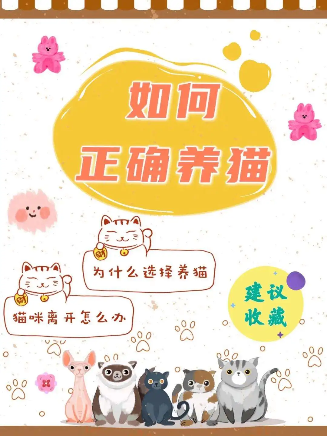 为什么养宠物好(为什么养宠物的越来越多)
