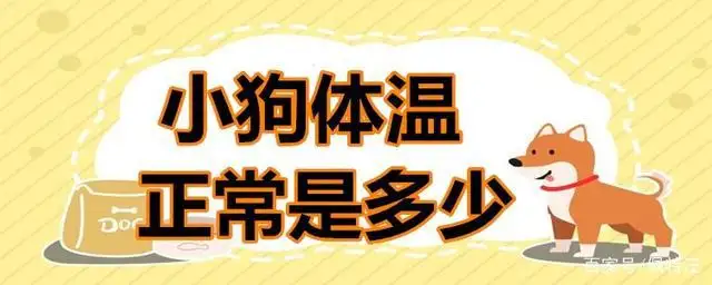 怎么看狗狗是否发烧感冒(怎么看狗狗是否发烧感冒症状)