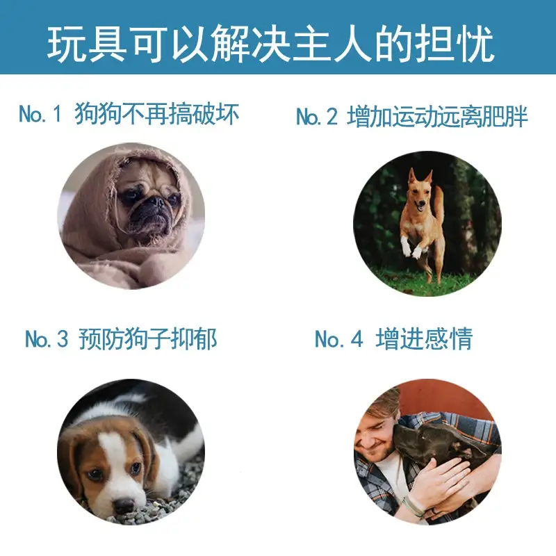 小型犬的价格(小型犬的价格参考)