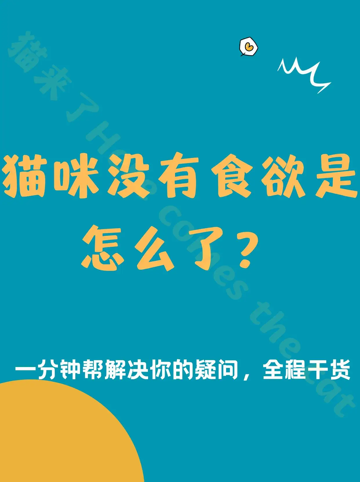 猫食欲特别好会是猫传腹吗的简单介绍