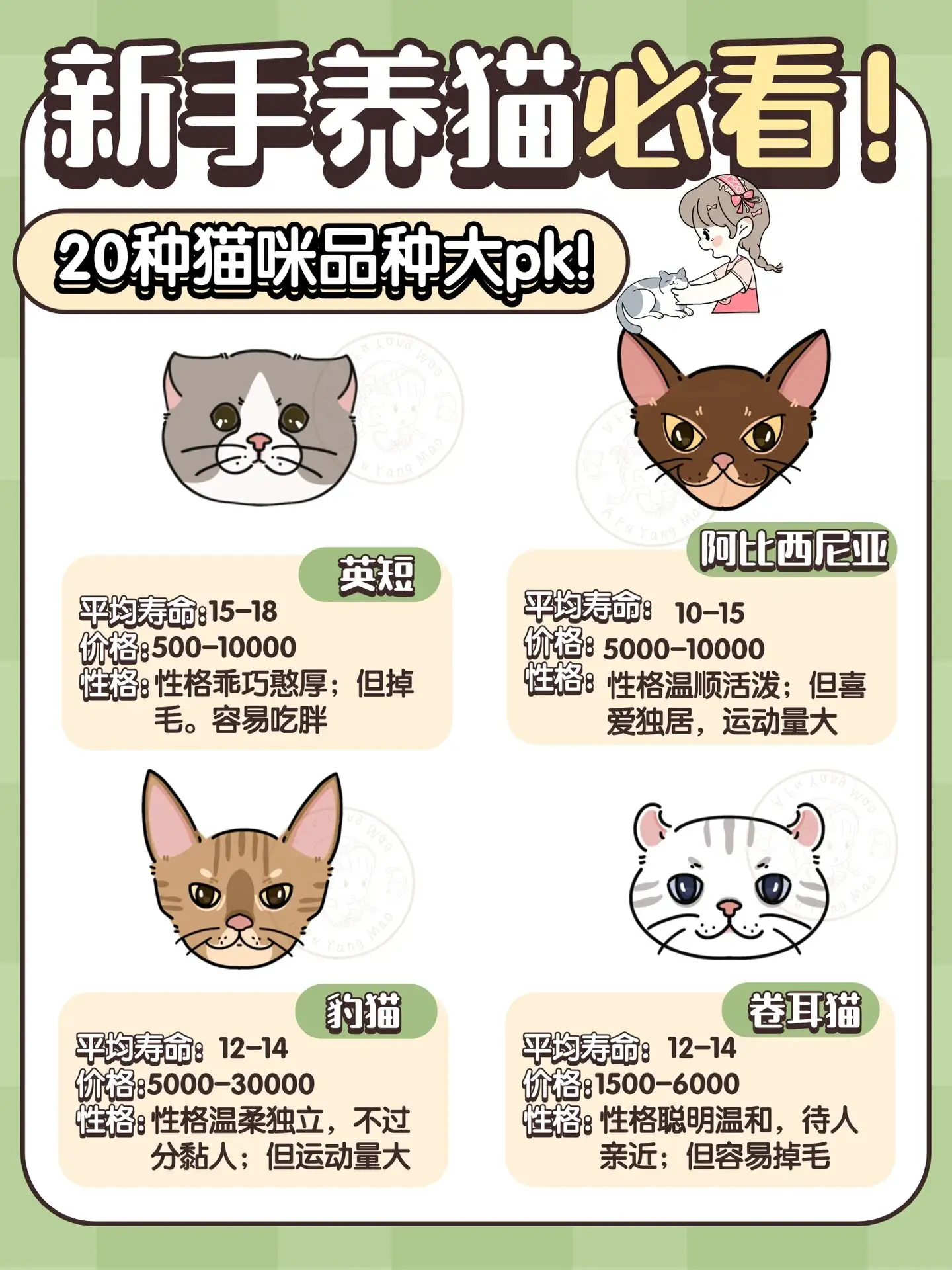 猫咪品种及价位(猫咪品种及价位排名)