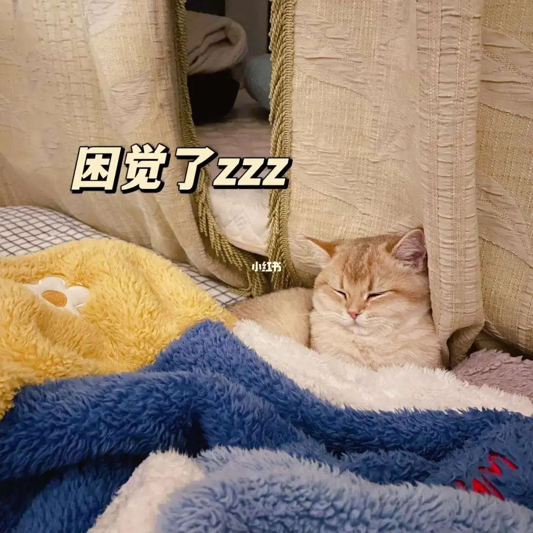 猫睡觉有咕噜咕噜的声音(猫睡觉咕噜咕噜的声音代表什么)