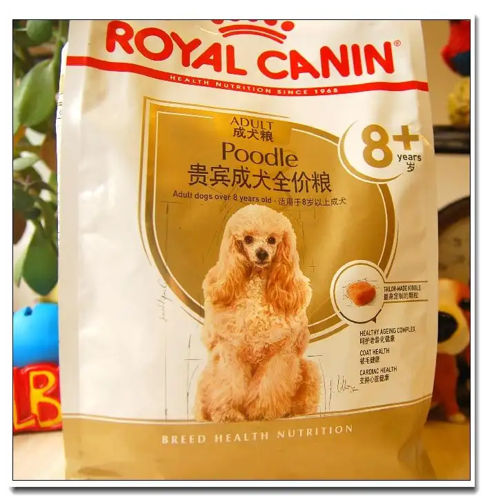 老年犬吃什么狗粮(老年狗一天喂几次狗粮)