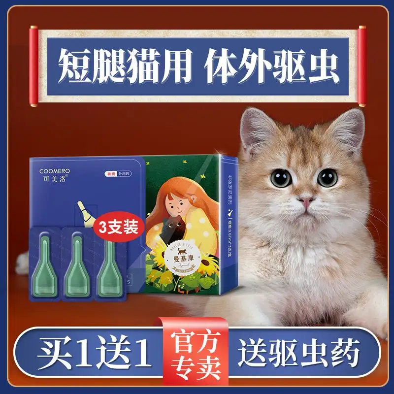 奶猫驱虫用什么药(奶猫驱虫用什么药最好)