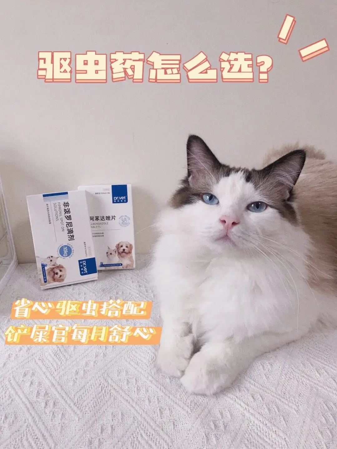 奶猫驱虫用什么药(奶猫驱虫用什么药最好)