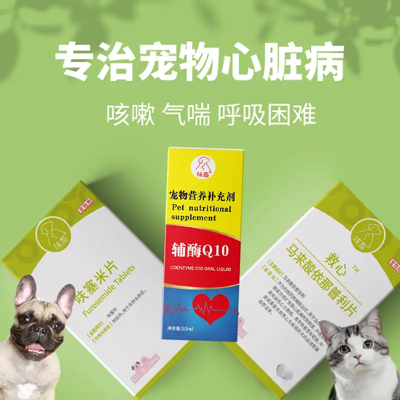 猫心脏肥大能活多久(猫心肌肥厚是吓出来的吗)