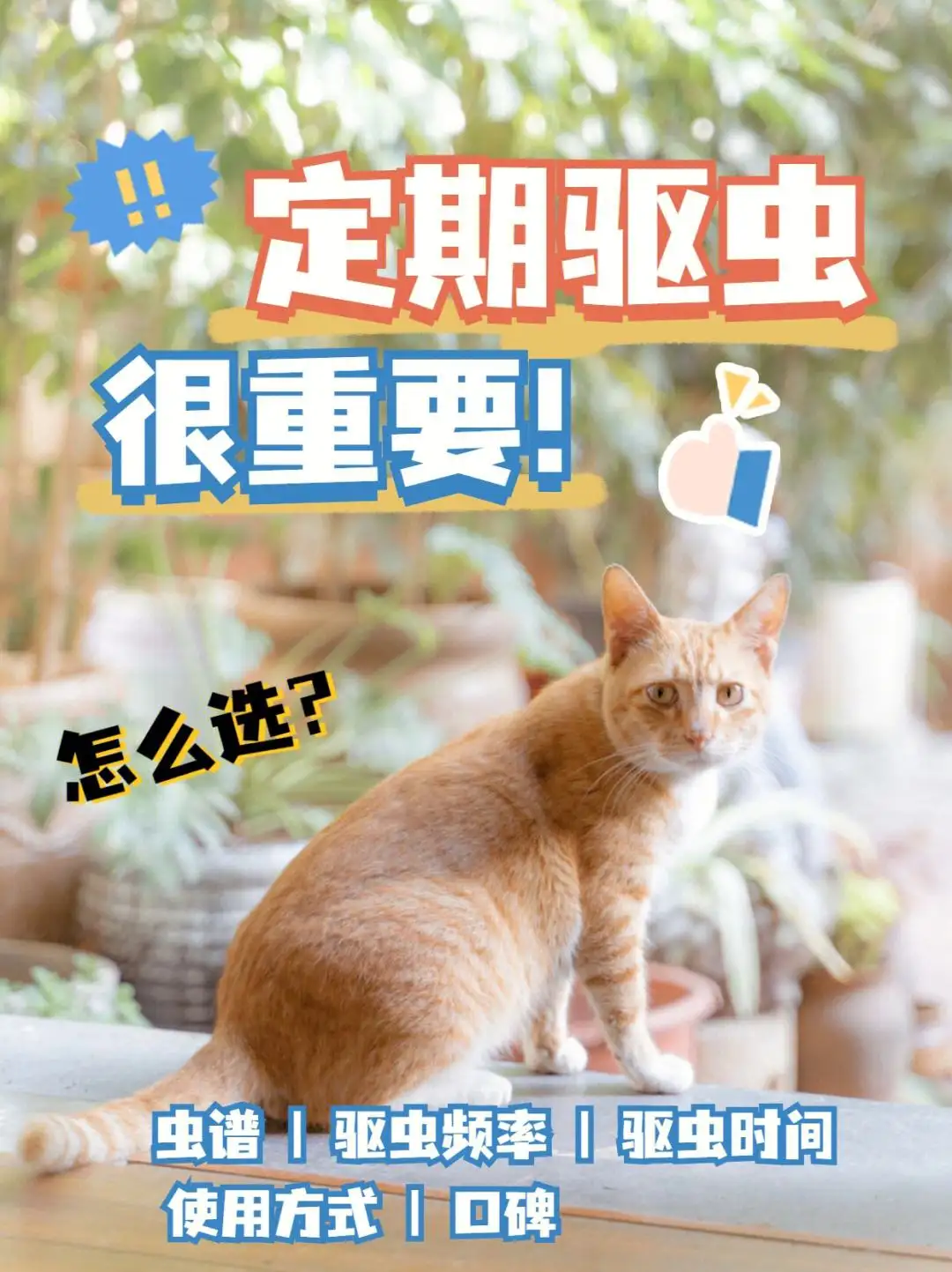 宠物猫一般怎么驱虫(宠物猫一般怎么驱虫的)