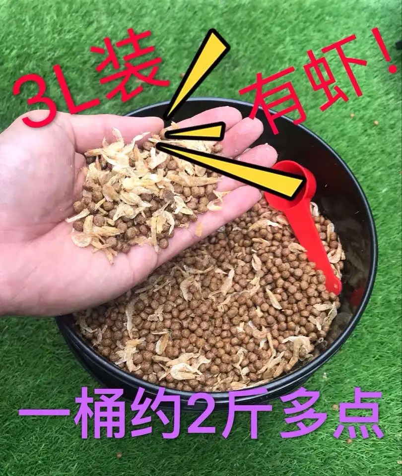 龟苗吃多少龟粮(龟苗吃多少粒龟粮)