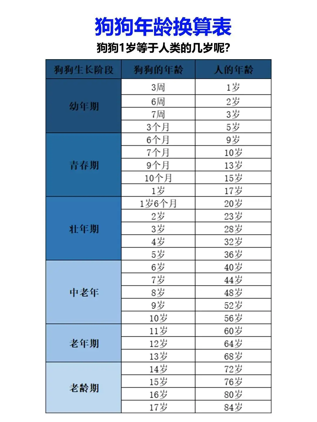 狗什么时候长得最快(狗什么时候长得最快最聪明)