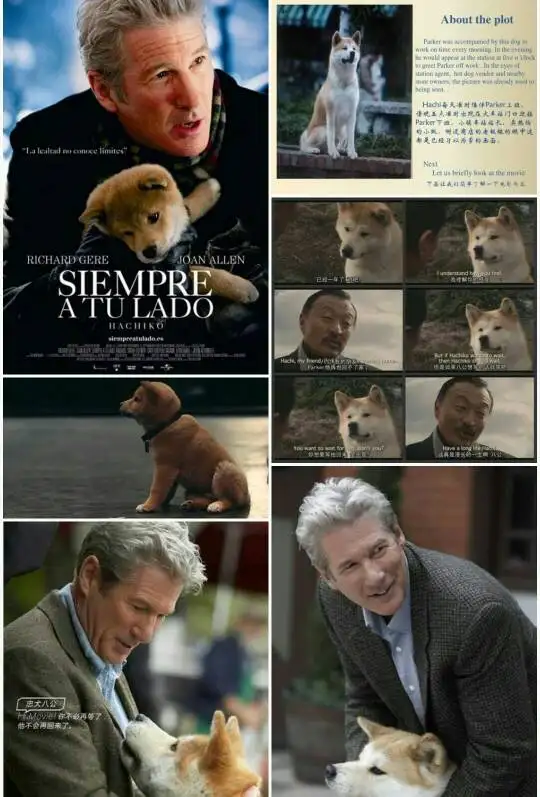 忠犬八公的电影完全版(忠犬八公的电影完全版日版)