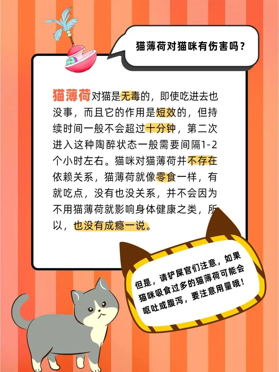 猫薄荷是给猫吃的吗(猫薄荷是给猫吃的吗怎么吃)