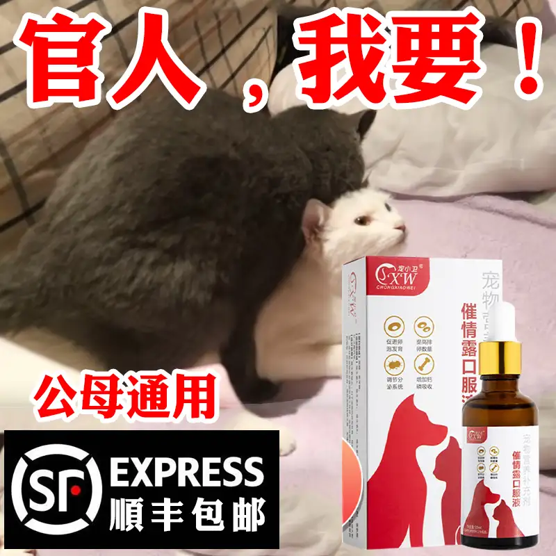 公猫配母猫(公猫配母猫一天后就不配了)