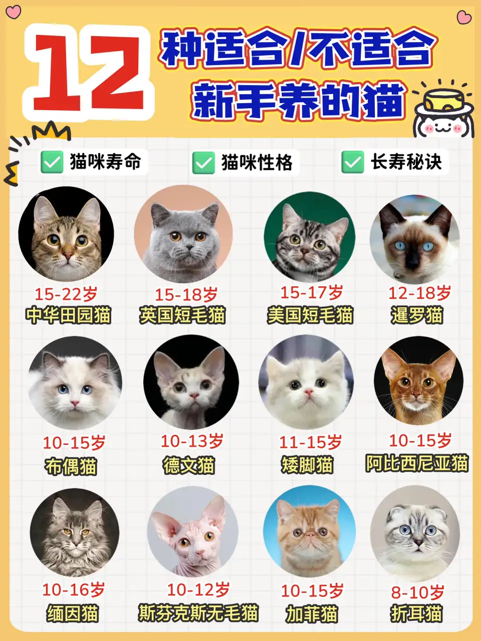 猫的寿命有多长怎么计算的简单介绍