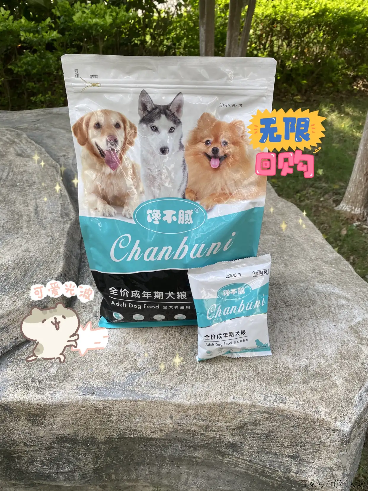 泰迪犬吃什么狗粮最好(国产十大口碑最好的狗粮)