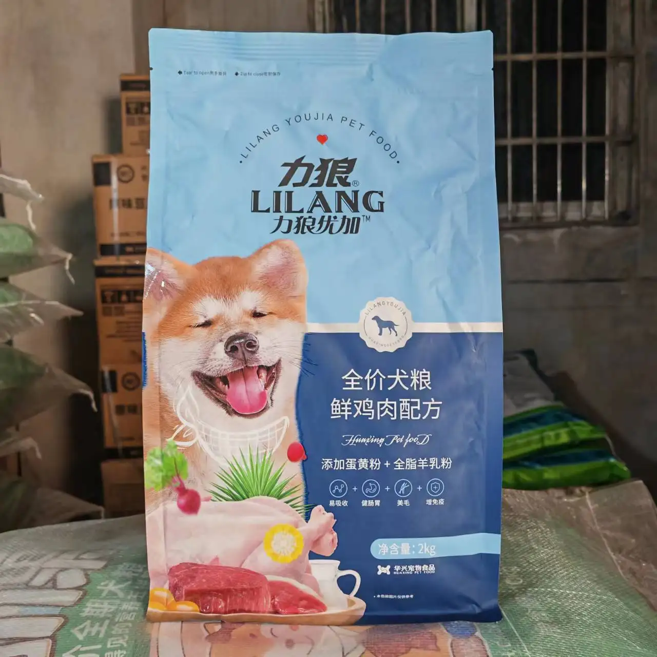 成年金毛犬一个月吃多少狗粮(纯种金毛112个月整个变图)