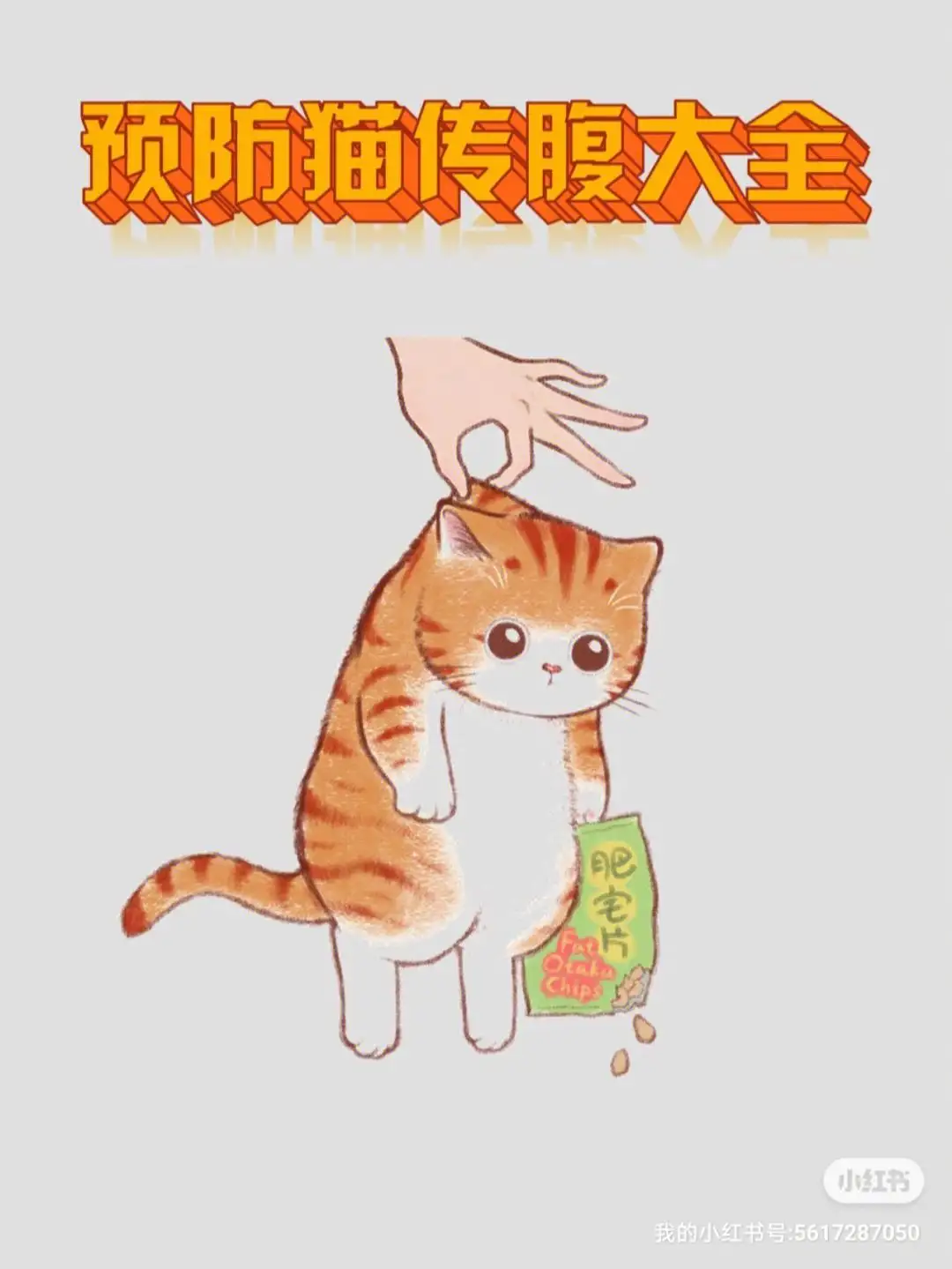 猫三联猫传腹(猫传腹第三代药)