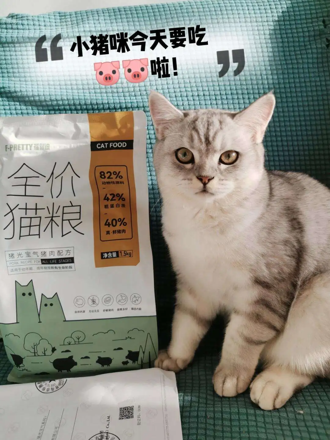 猫咪喜欢吃猪肉脯(猫咪喜欢吃猪肉脯的原因)