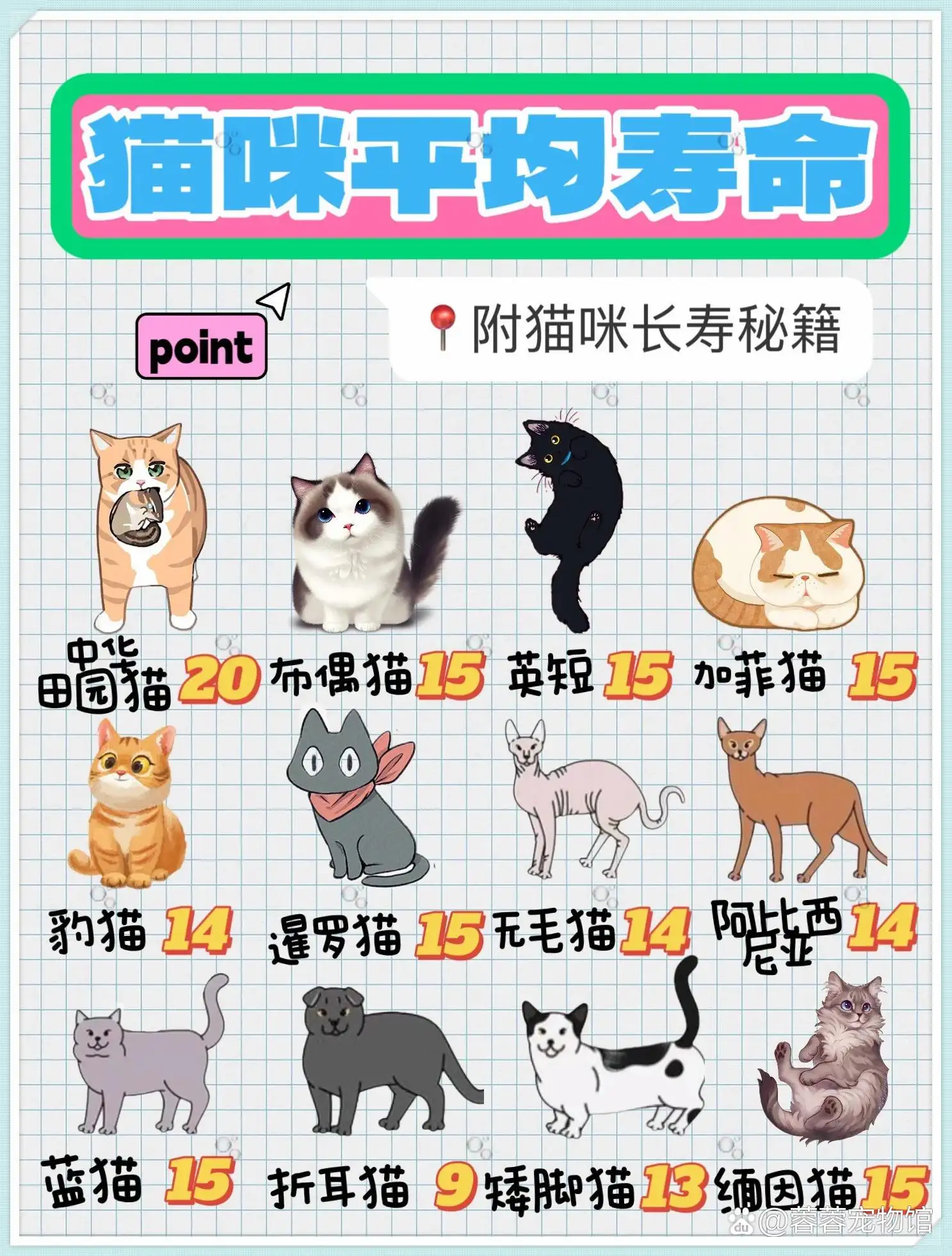 猫正常寿命(猫正常寿命能活多少年)