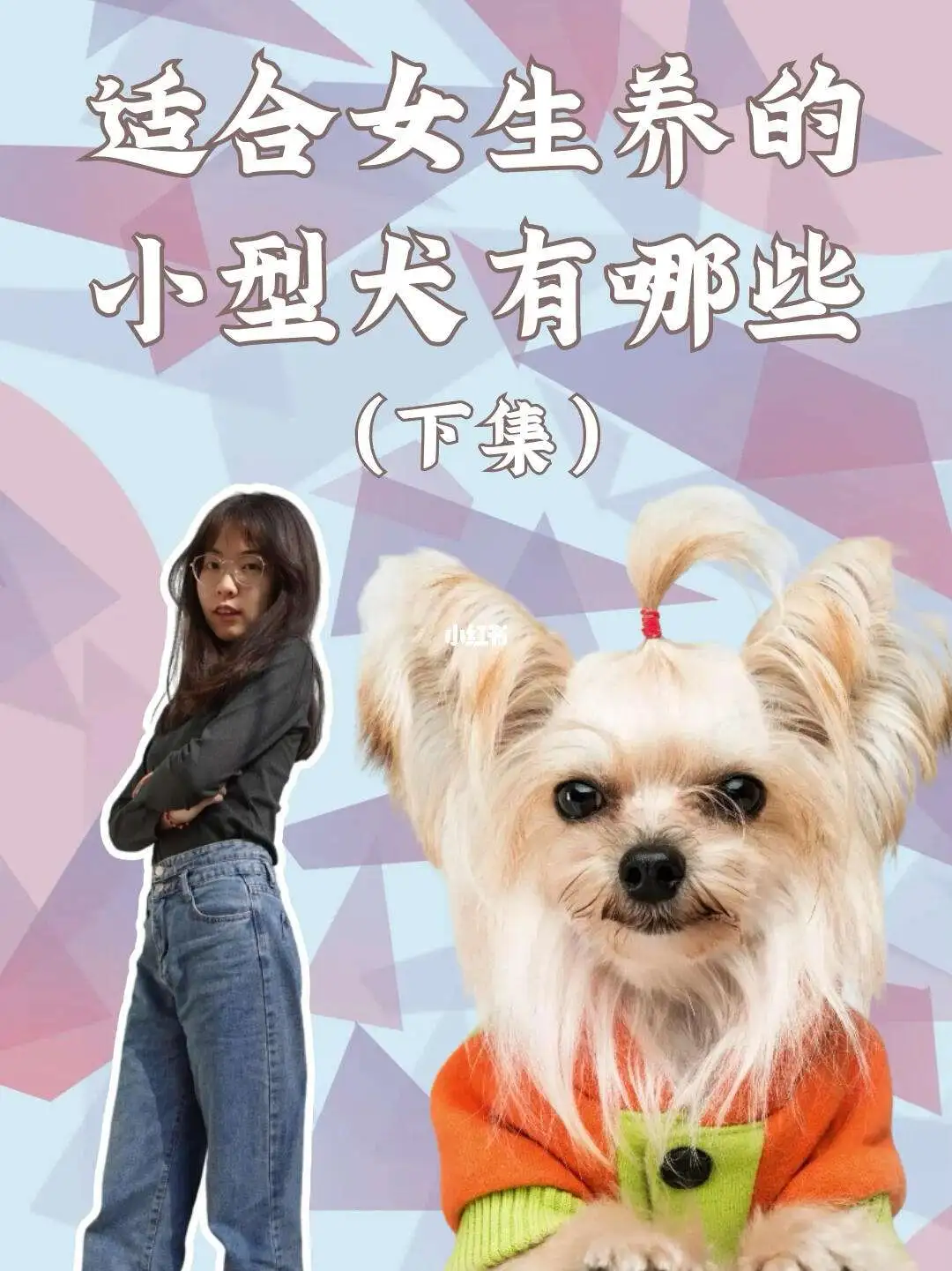 女生养小型犬(女生养小型犬好吗)