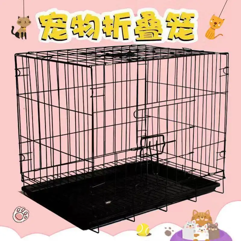 中型泰迪犬的价格(中型泰迪犬成年有多重)