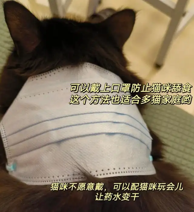 猫咪打虫药吃多了会不会死(猫咪打虫药吃多了会不会死掉)