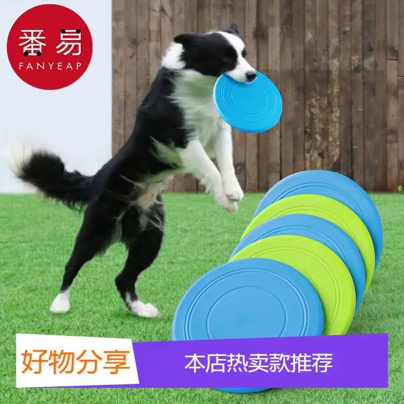 边牧犬小型犬(边牧犬小型犬图片大全)