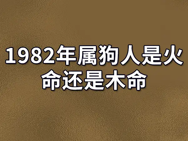 1970年属狗人的寿命及命运(1970年属狗人的寿命及命运是什么)