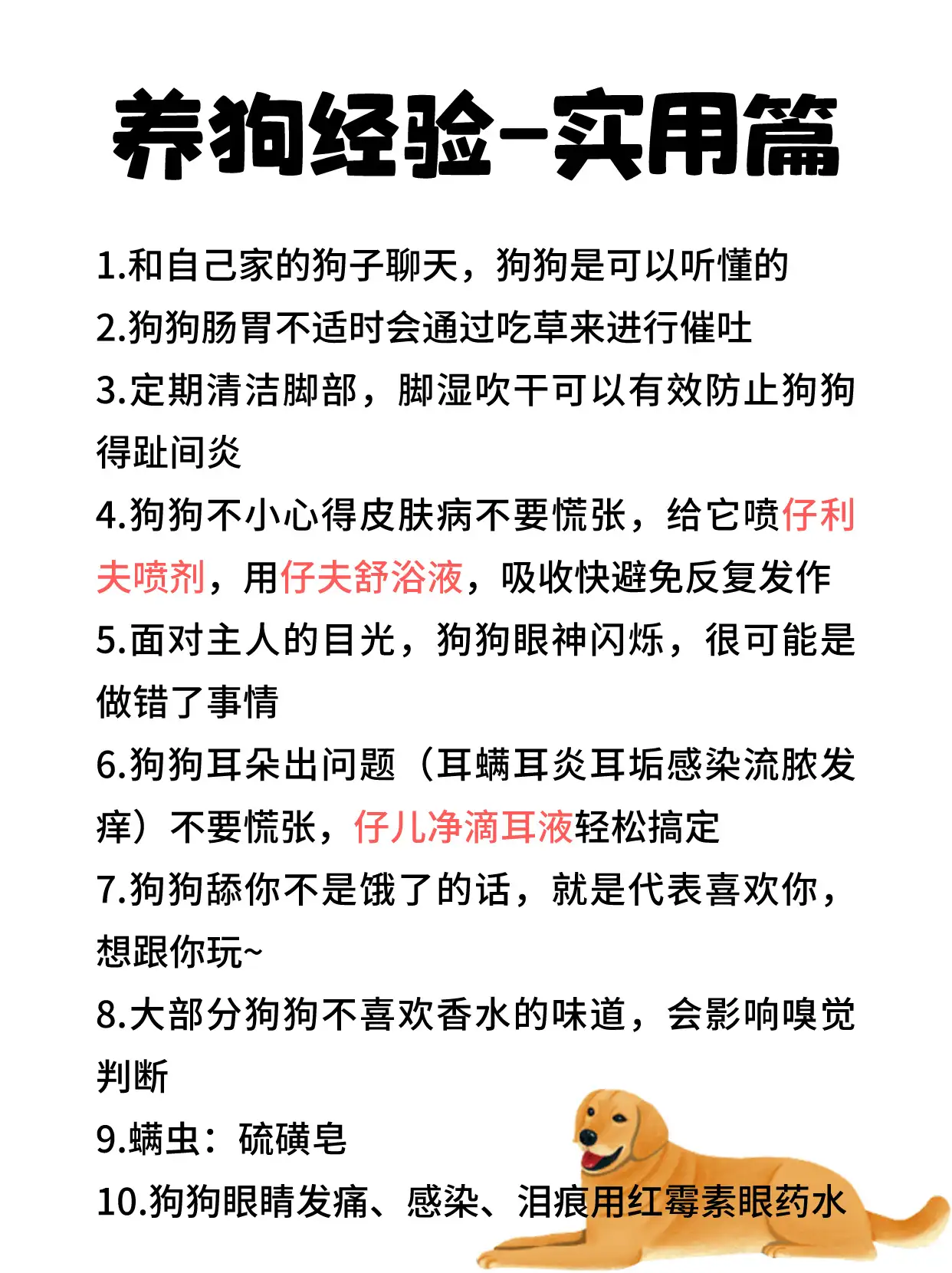 狗狗十六岁相当于人多少岁(狗狗十六岁相当于人多少岁了)